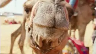 مونتاج احترافي لجميع أنواع الفيديوهات.