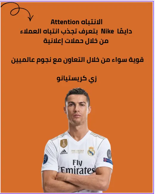 تصميم كاروسيل سوشيال ميديا احترافي للمحتوى التسويقي والتعليمي