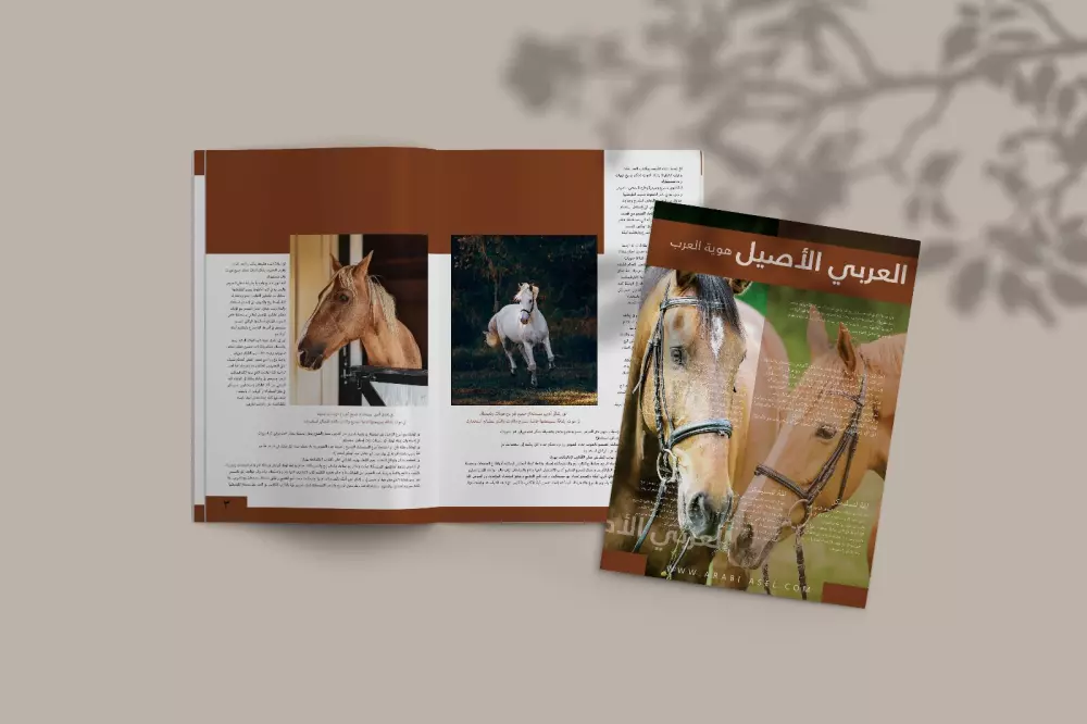 تصميم ملف تعريفي لشركة(بروفايل) ومجلة