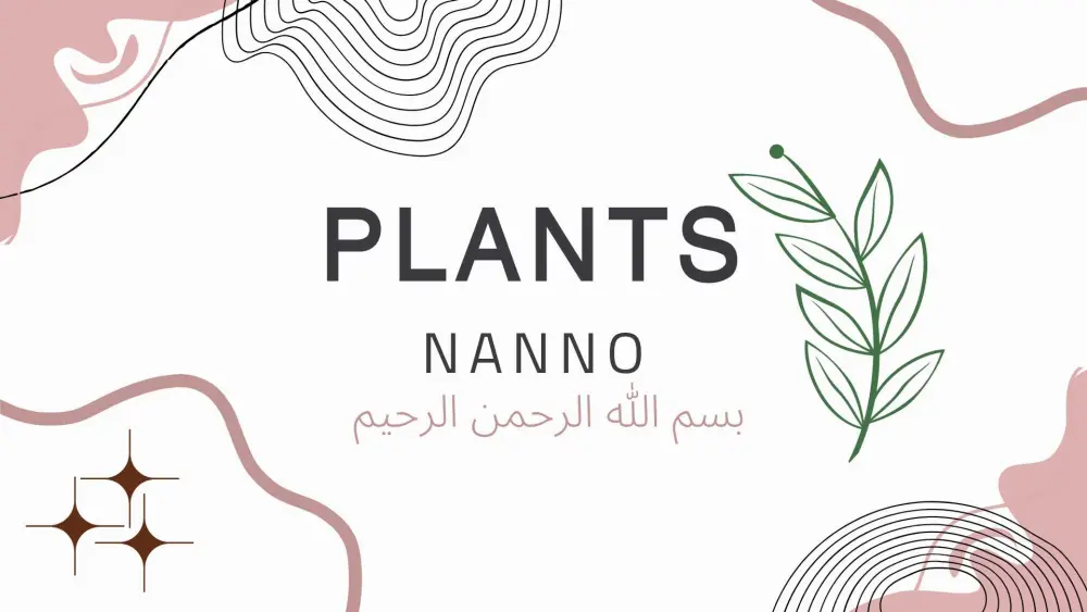 تصميم وكتابة عرض PowerPoint بطريقة إحترافية وعصرية