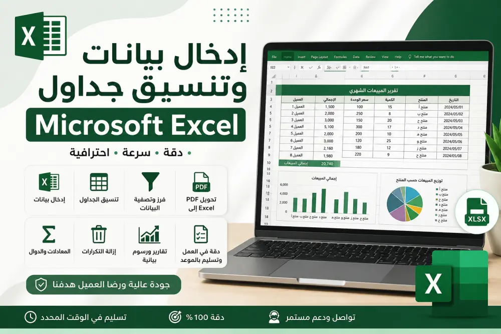 Microsoft Excel Data Entry & Formatting
