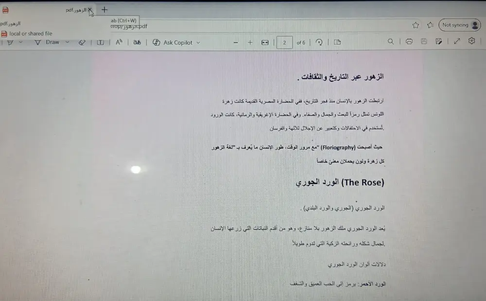تفريغ ملفات PDFو أوراق Scanner المعقدة علي ملف Word