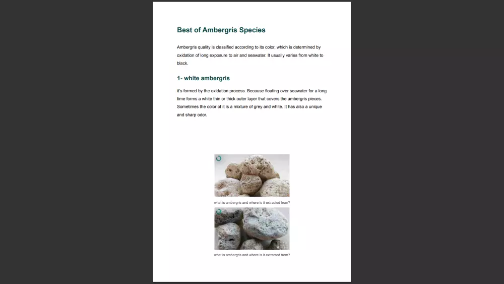 الترجمة للعربية والانكليزية - تحرير وتدقيق النصوص