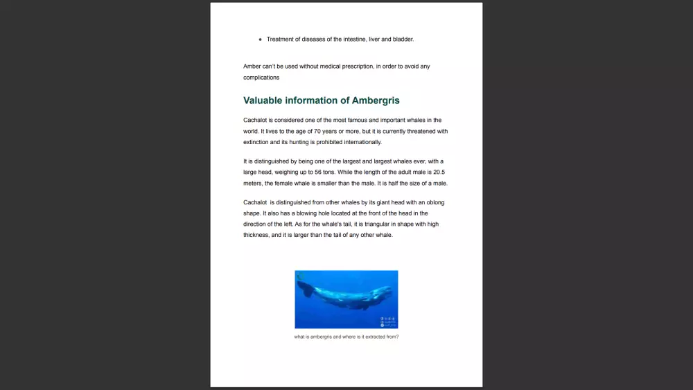 الترجمة للعربية والانكليزية - تحرير وتدقيق النصوص