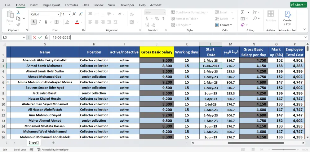 إدخال البيانات على Excel بإحترافية ودقة عالية وسرعة في التنفيذ
