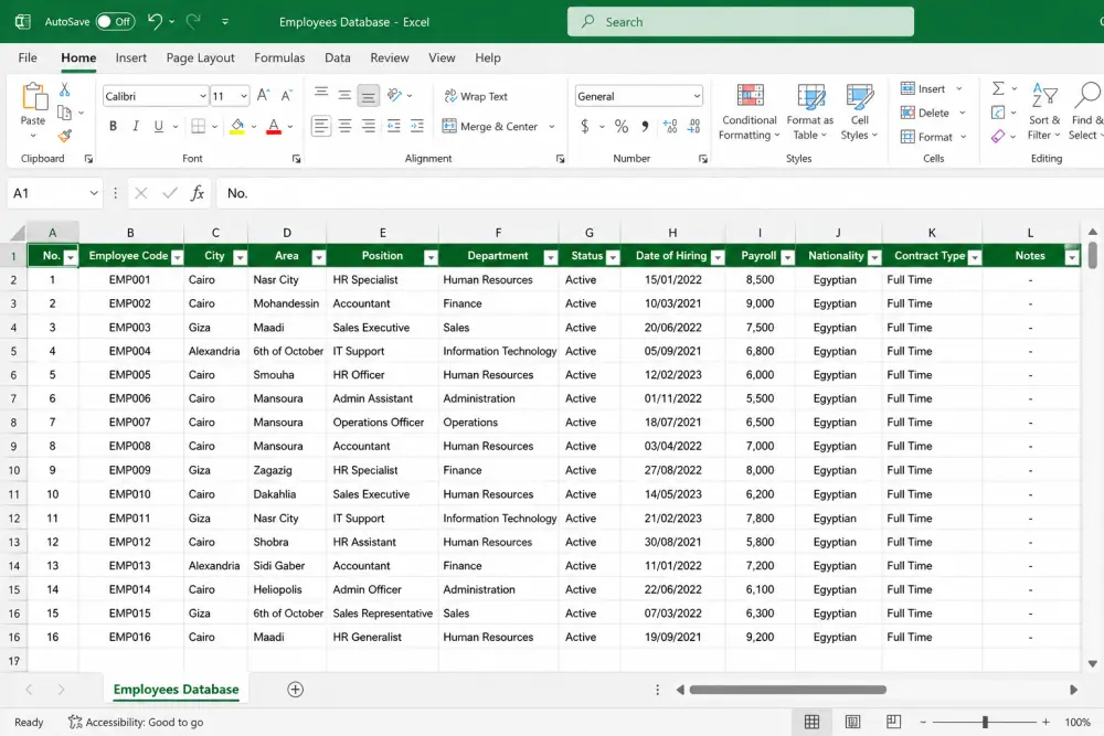 إدخال البيانات على Excel بإحترافية ودقة عالية وسرعة في التنفيذ
