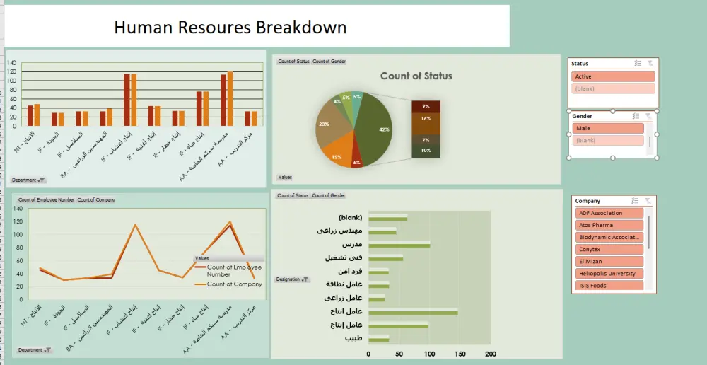 تنظيف وتحليل بيانات وإنشاء داشبورد dashboard إحترافي