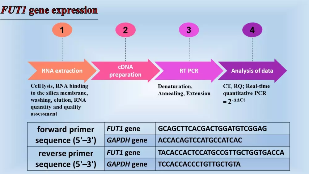 تصميم عروض الباوربوينت والإنفوجرافيك بطريقة احترافية