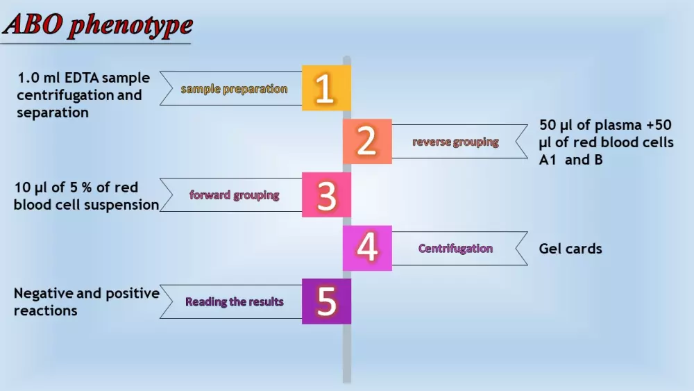 تصميم عروض الباوربوينت والإنفوجرافيك بطريقة احترافية