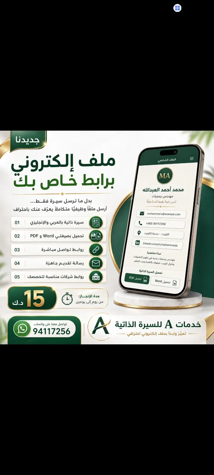 إعداد سيرة ذاتية احترافية بالعربية والإنجليزية مع ملف وظيفي إلكتروني