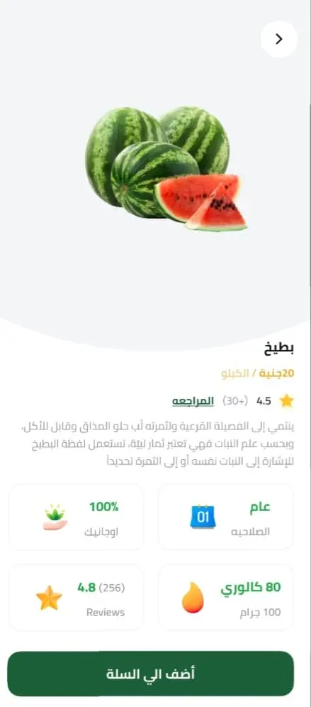 تطوير تطبيق جوال احترافي باستخدام Flutter