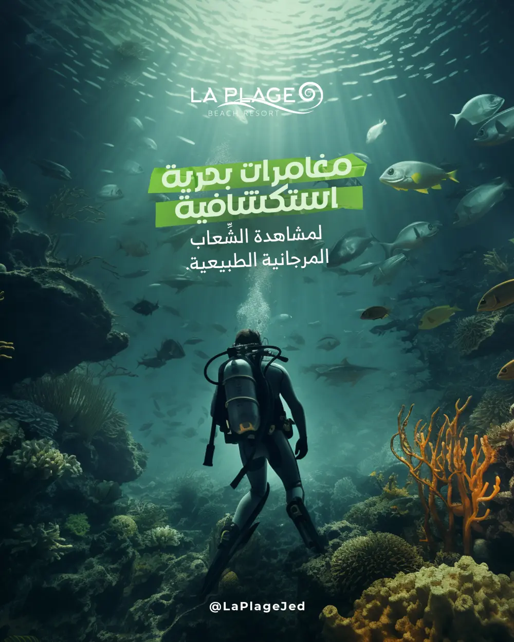 تصميم منشورات لحسابات التواصل الاجتماعي