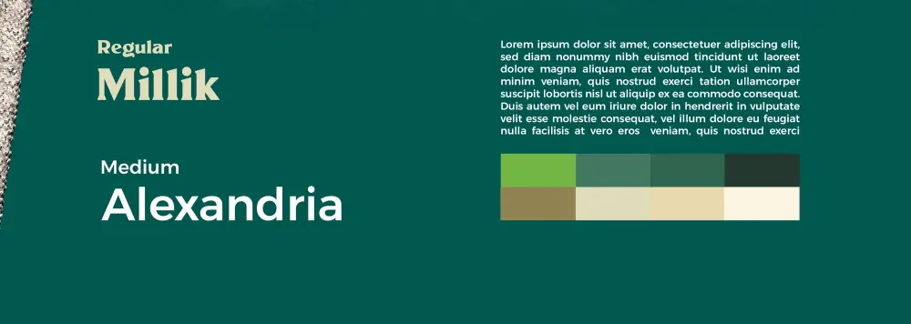 إدارة حسابات التواصل الاجتماعي الشهرية