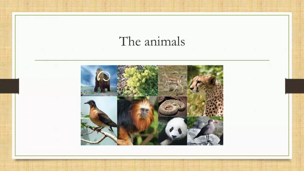 عروض تقديمية على برنامج باور بوينت