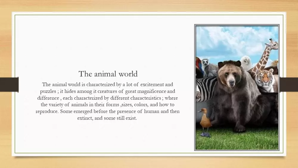 عروض تقديمية على برنامج باور بوينت