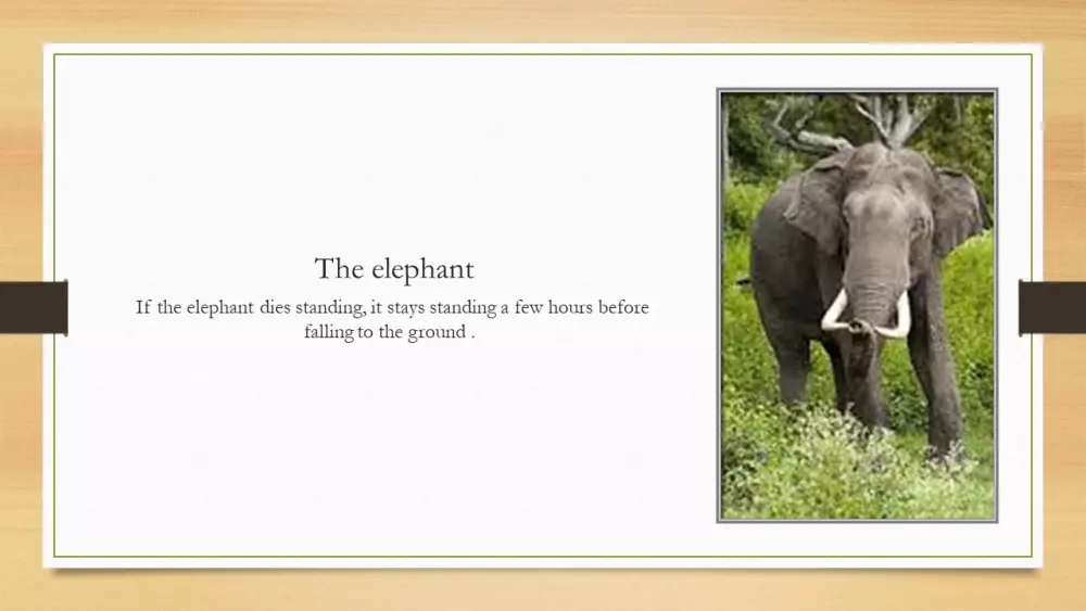 عروض تقديمية على برنامج باور بوينت