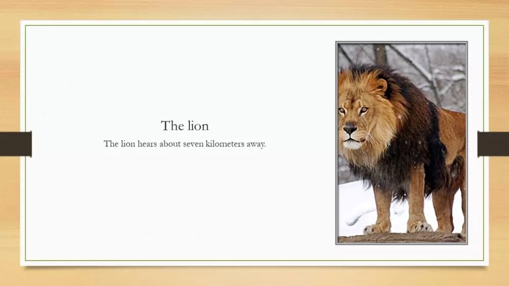 عروض تقديمية على برنامج باور بوينت