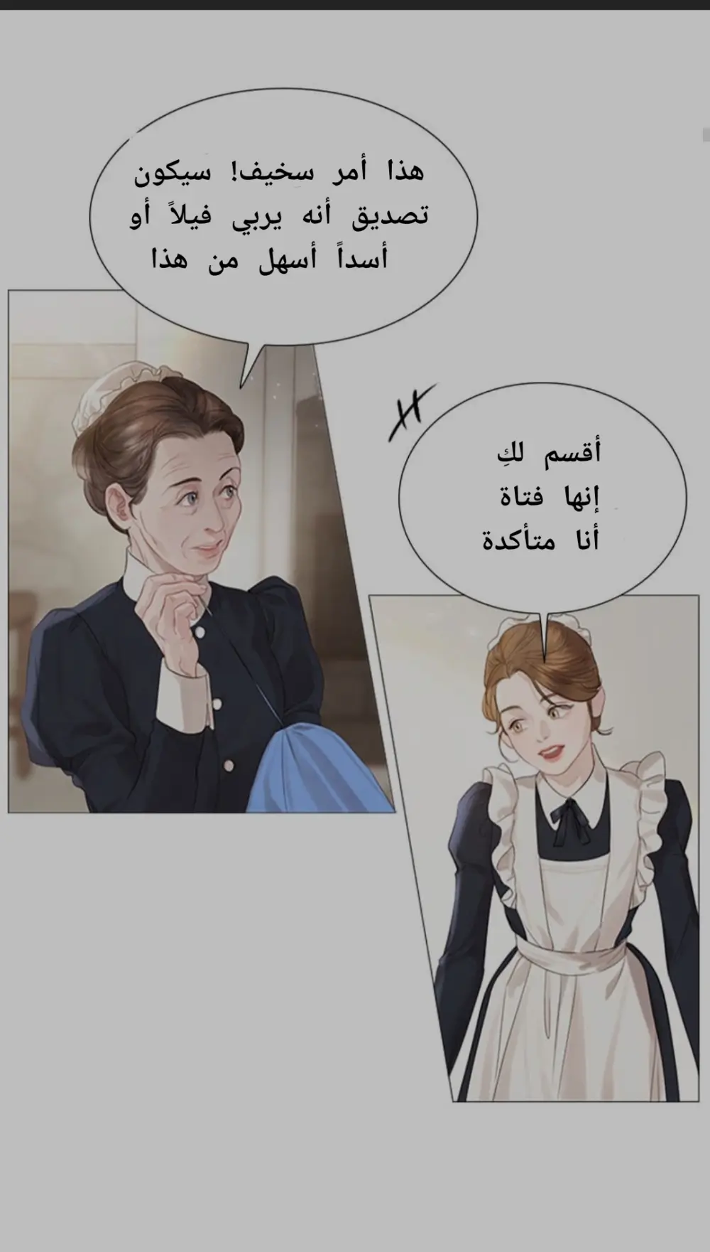 ترجمة و تبيض