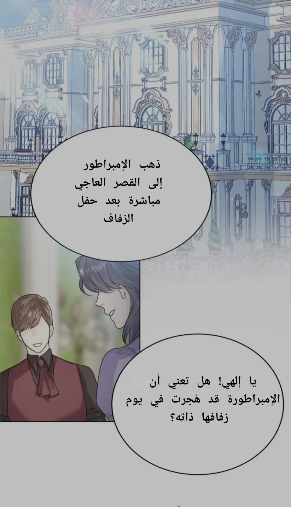 ترجمة و تبيض
