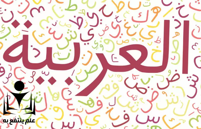 تعليم اللغة العربية والقران الكريم وترجمة النصوص من الانجليزية الي عربية والعكس وتحويل ال pdf الي Word لتسهل التعديل عليه