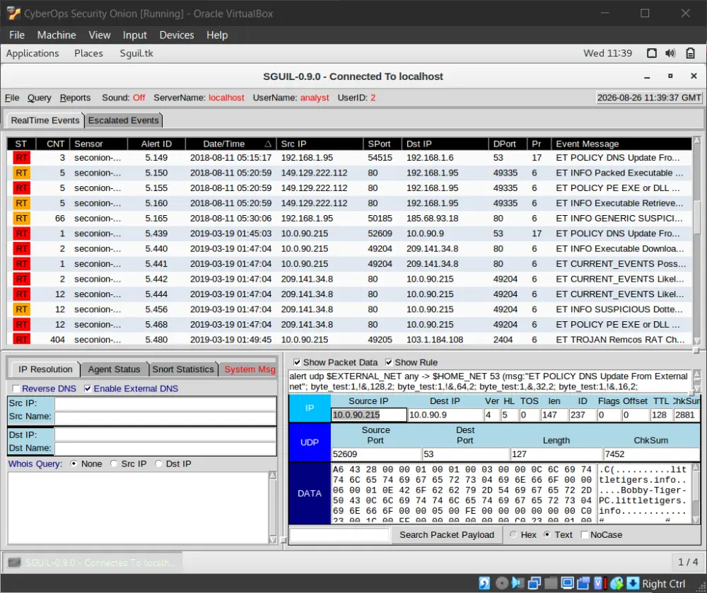 تحليل الملفات الخبيثة (Malware Analysis) باحترافية