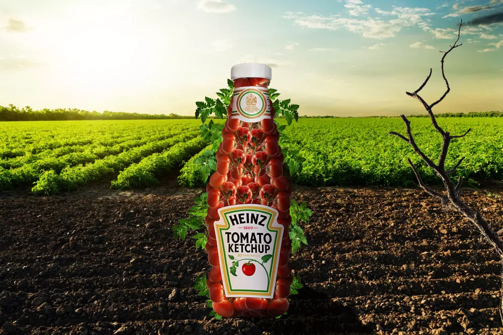 تصميم سوشيال ميديا احترفي