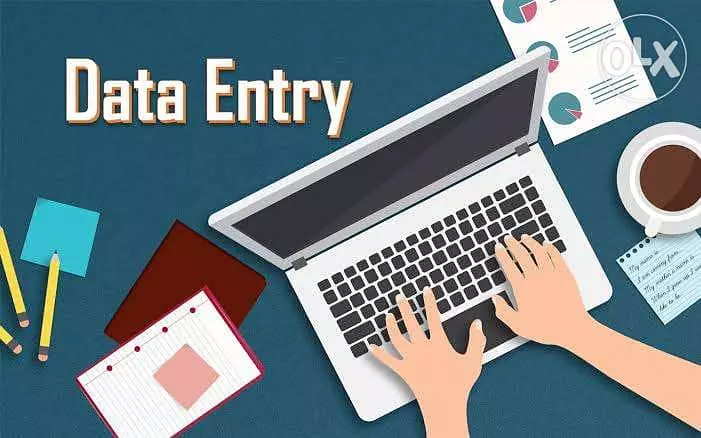 مدخل بيانات data entry