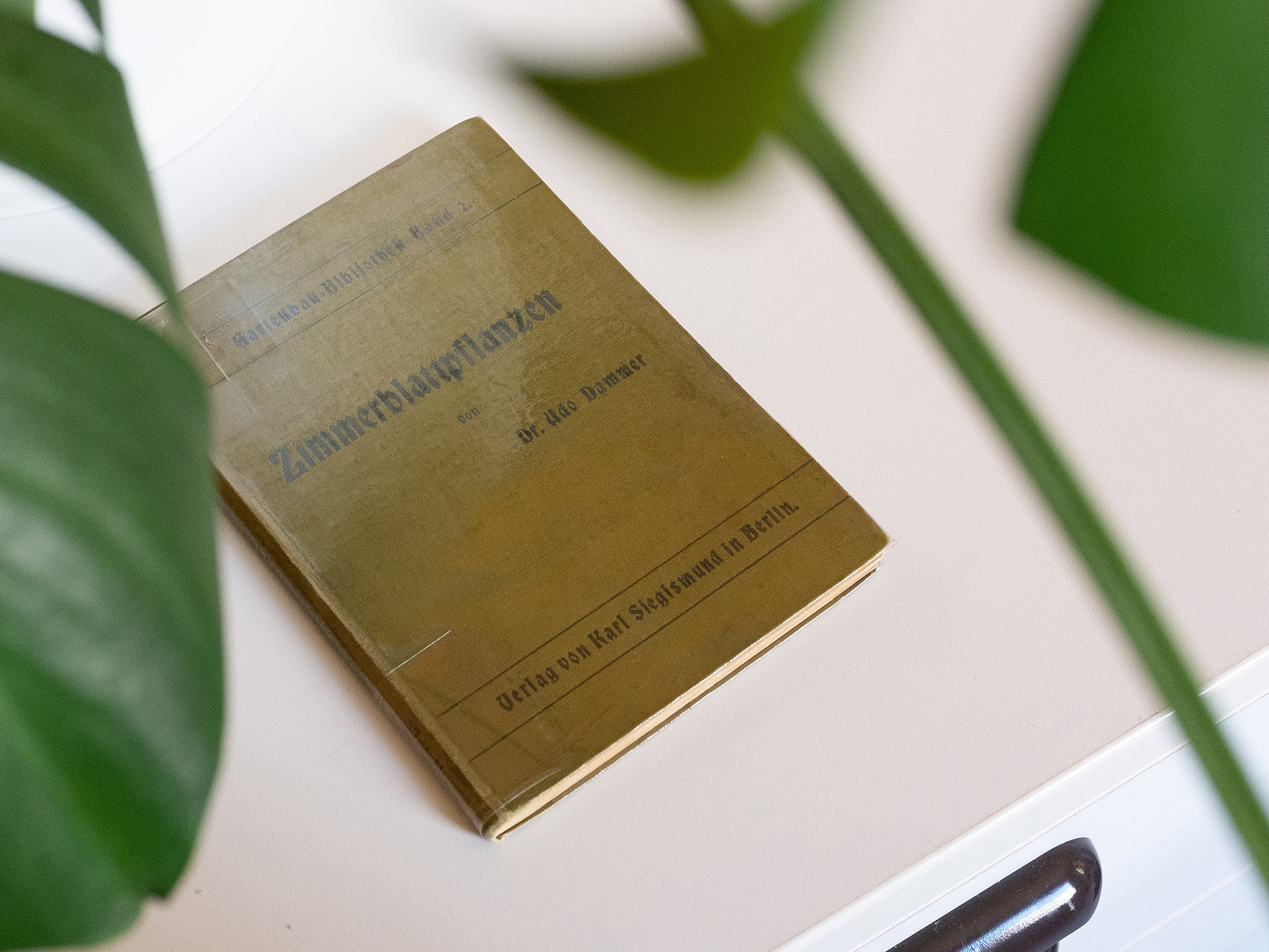 تصميم هوية بصرية كاملة لشركتك بأشكال مميزة وإحترافية