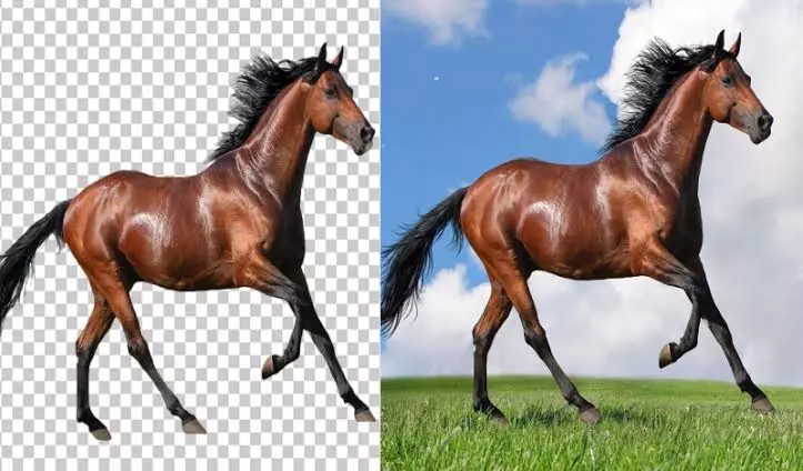 سوف أفرغ لك الخلفية