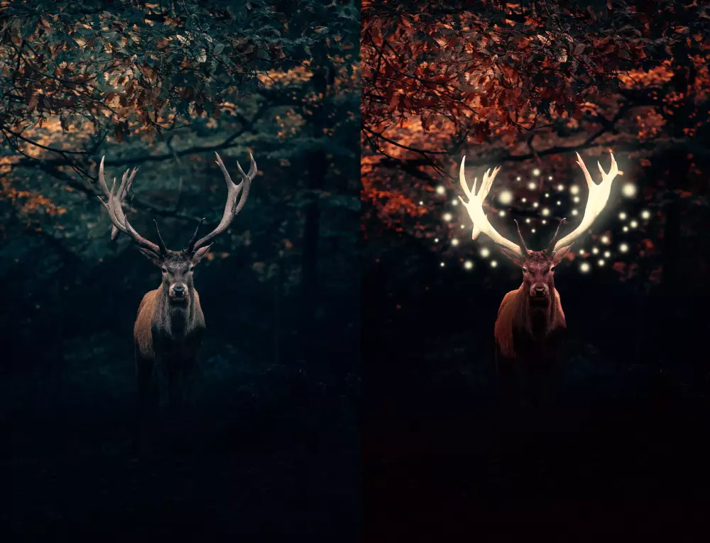 تعديل الصور  بدقة واحترافية