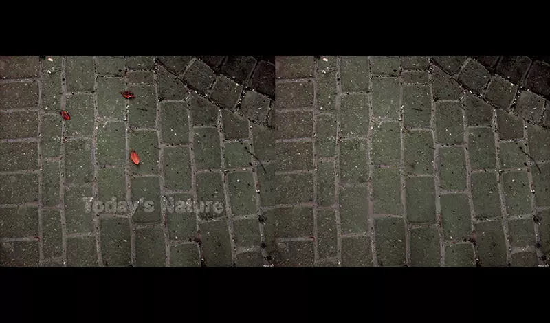 قص وتفريغ 10 صورة  بدقة باستخدام photoshop