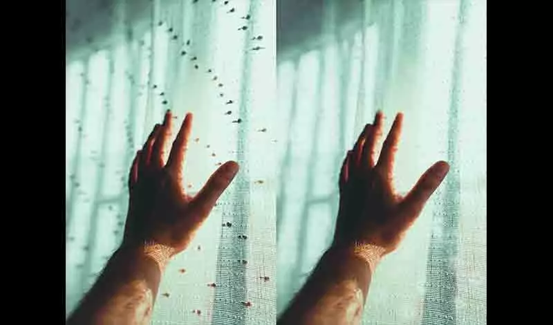 قص وتفريغ 10 صورة  بدقة باستخدام photoshop