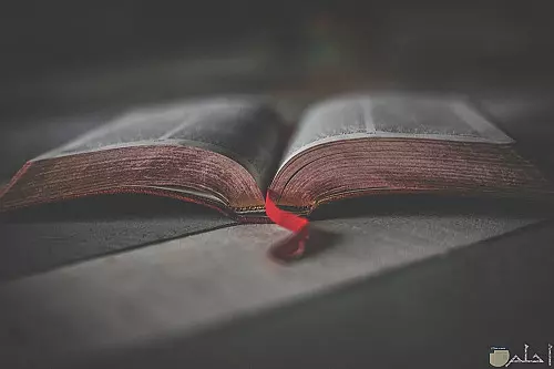 تلخيص كتب بشكل شامل