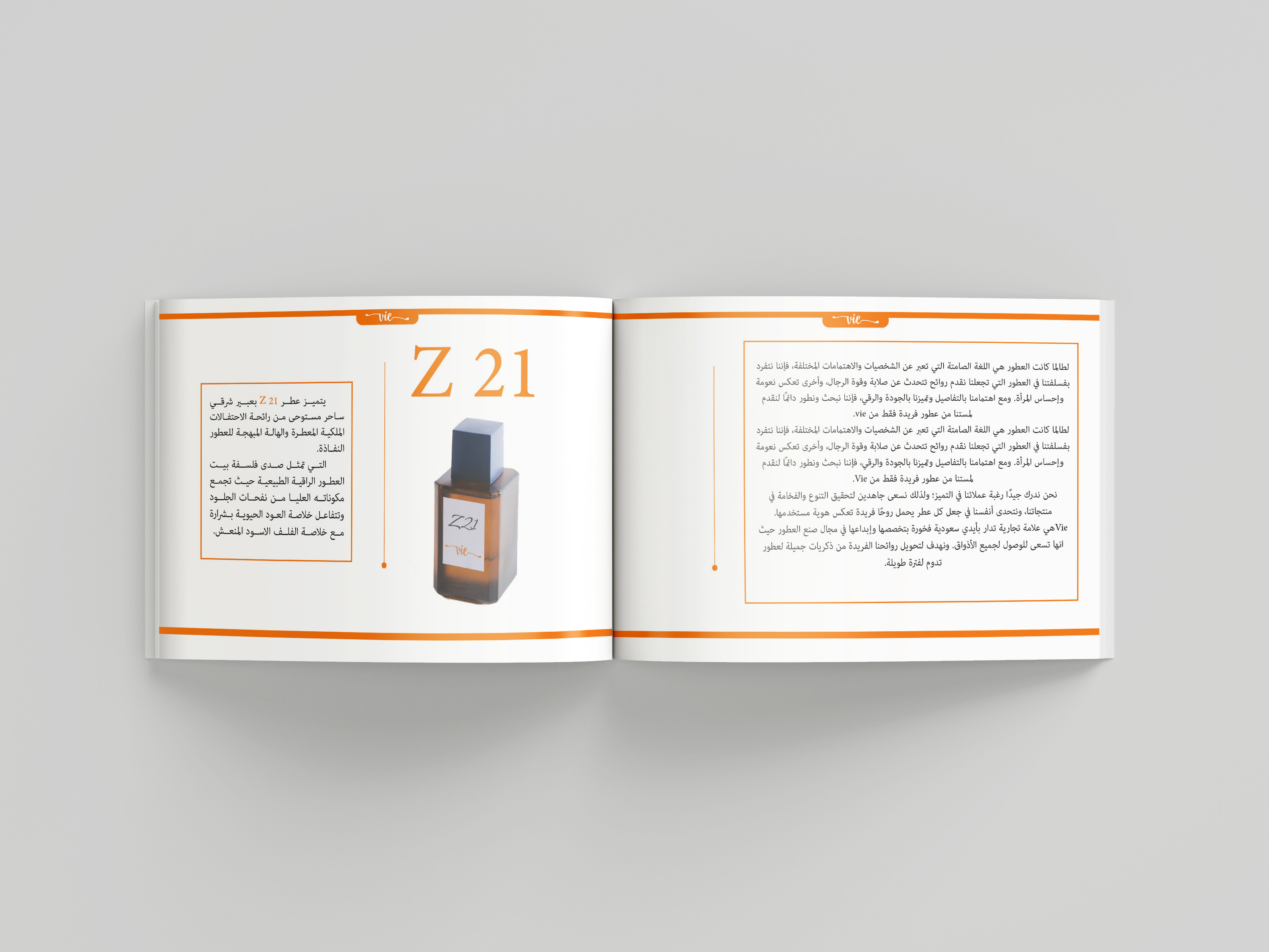 إعداد بروفايل شركة   Company Profileاحترافي ومميز.