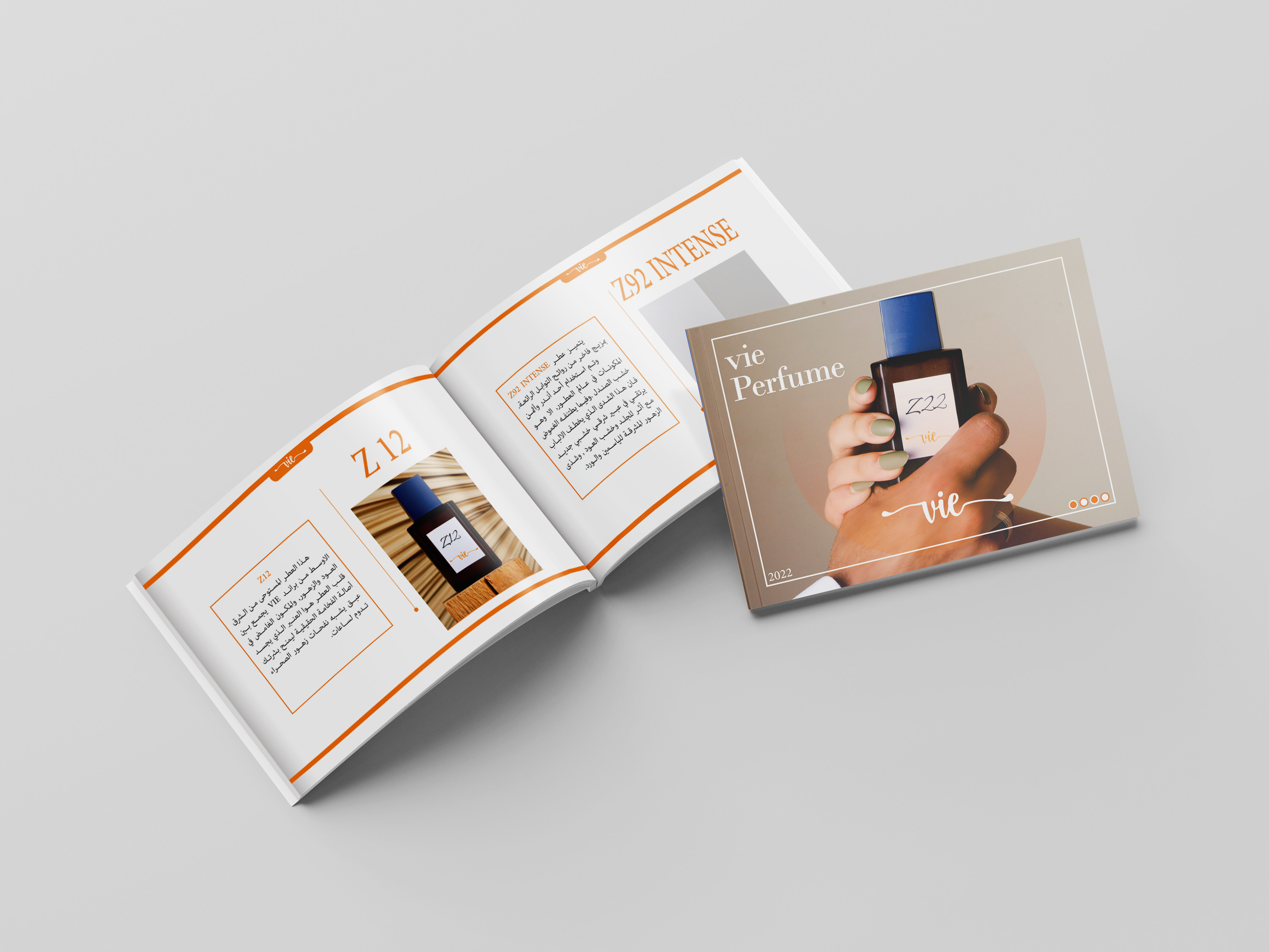 إعداد بروفايل شركة   Company Profileاحترافي ومميز.