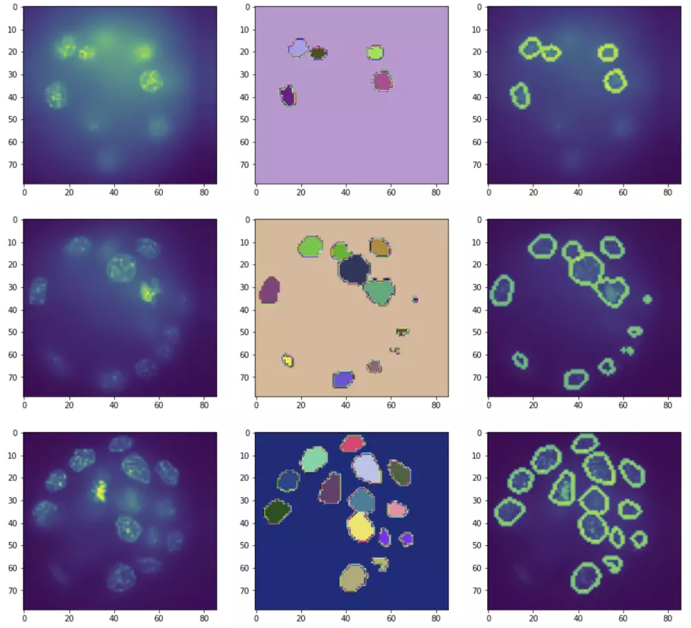 برمجة انظمة الذكاء الاصطناعي و تحليل البيانات
