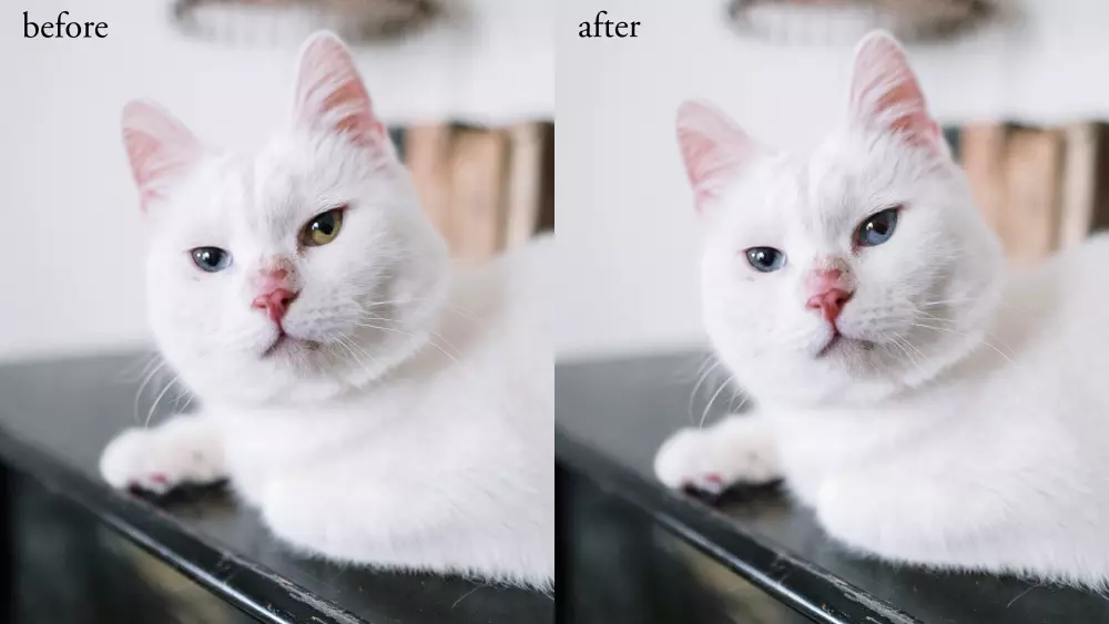 تعديل الصور