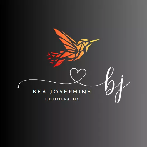 اقوم بتصميم اللوجوهات