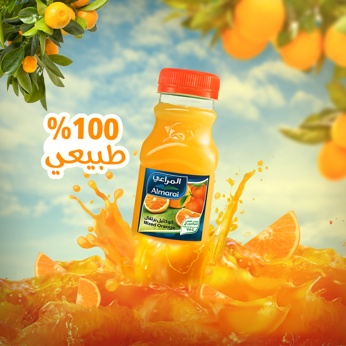 تصميم اعلانات السوشيال ميديا