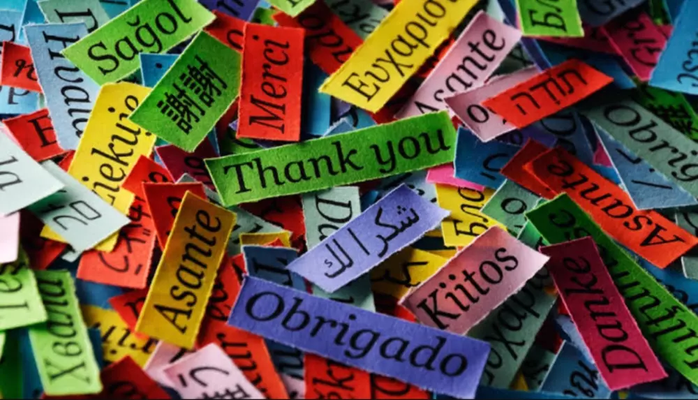 ترجمة اي نص من اي لغة الي اي لغة و بطريقة احترافية