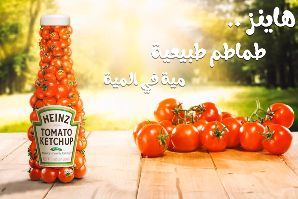 تصاميم سوشيال ميديا احترافية