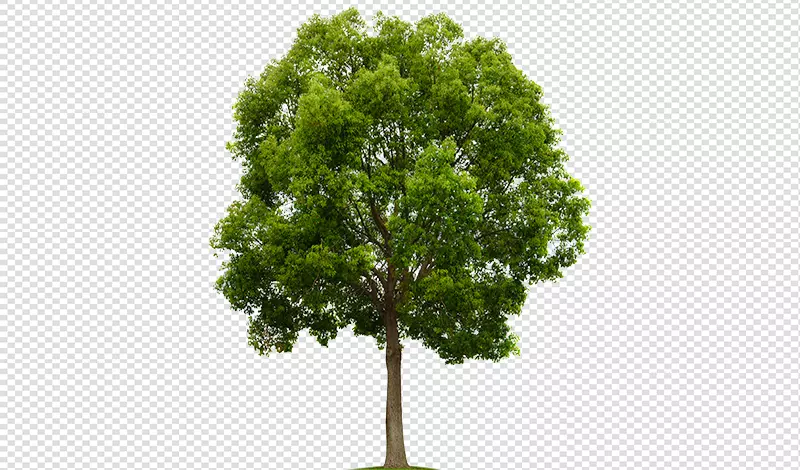 تفريغ الصور وإزالة الخلفية