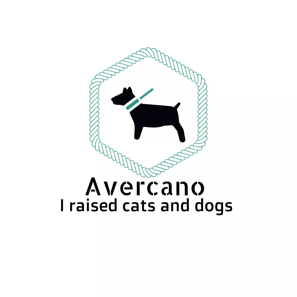 تصميم شعار احترافي بأقل التكاليف