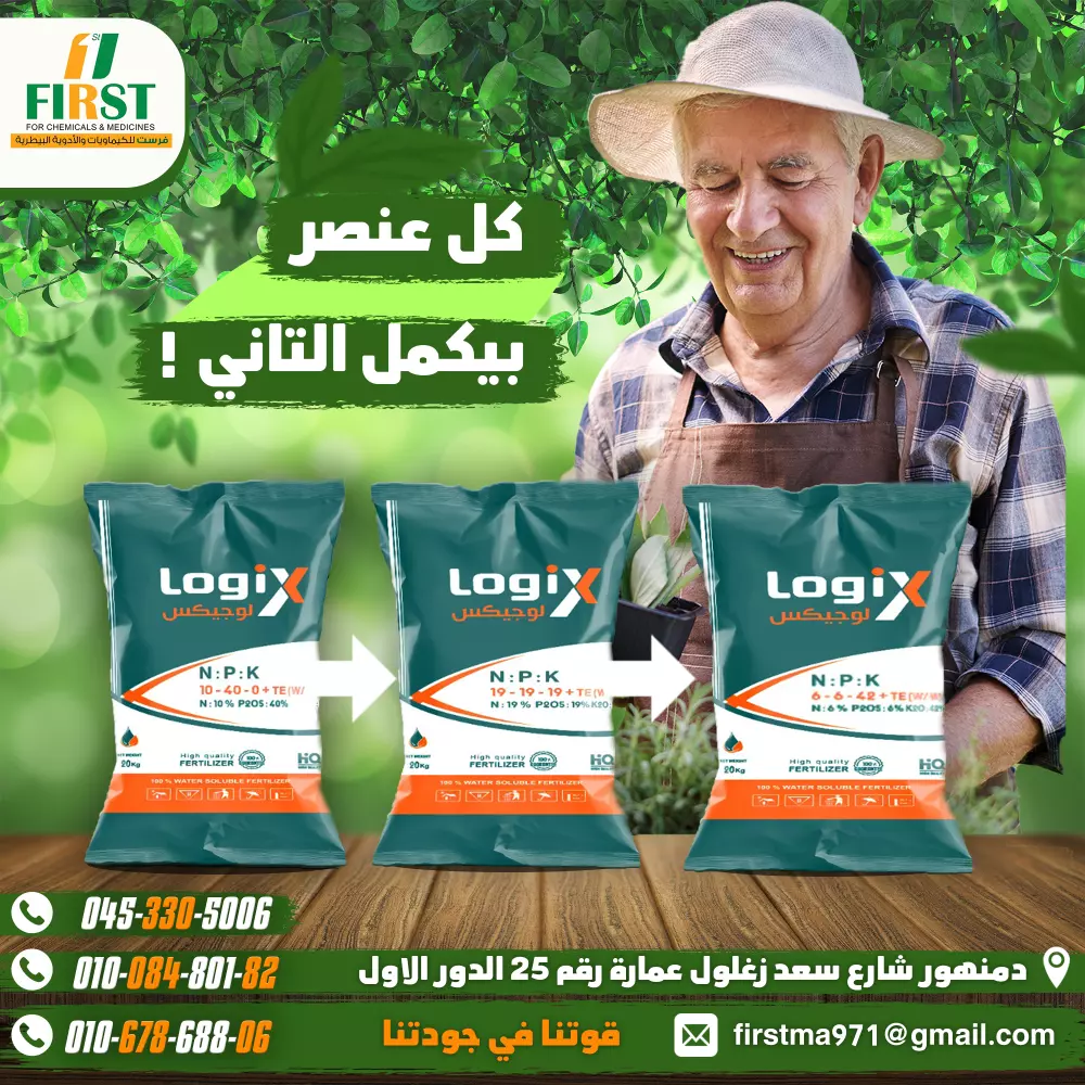 تصميم سوشيال ميديا بشكل احترافي