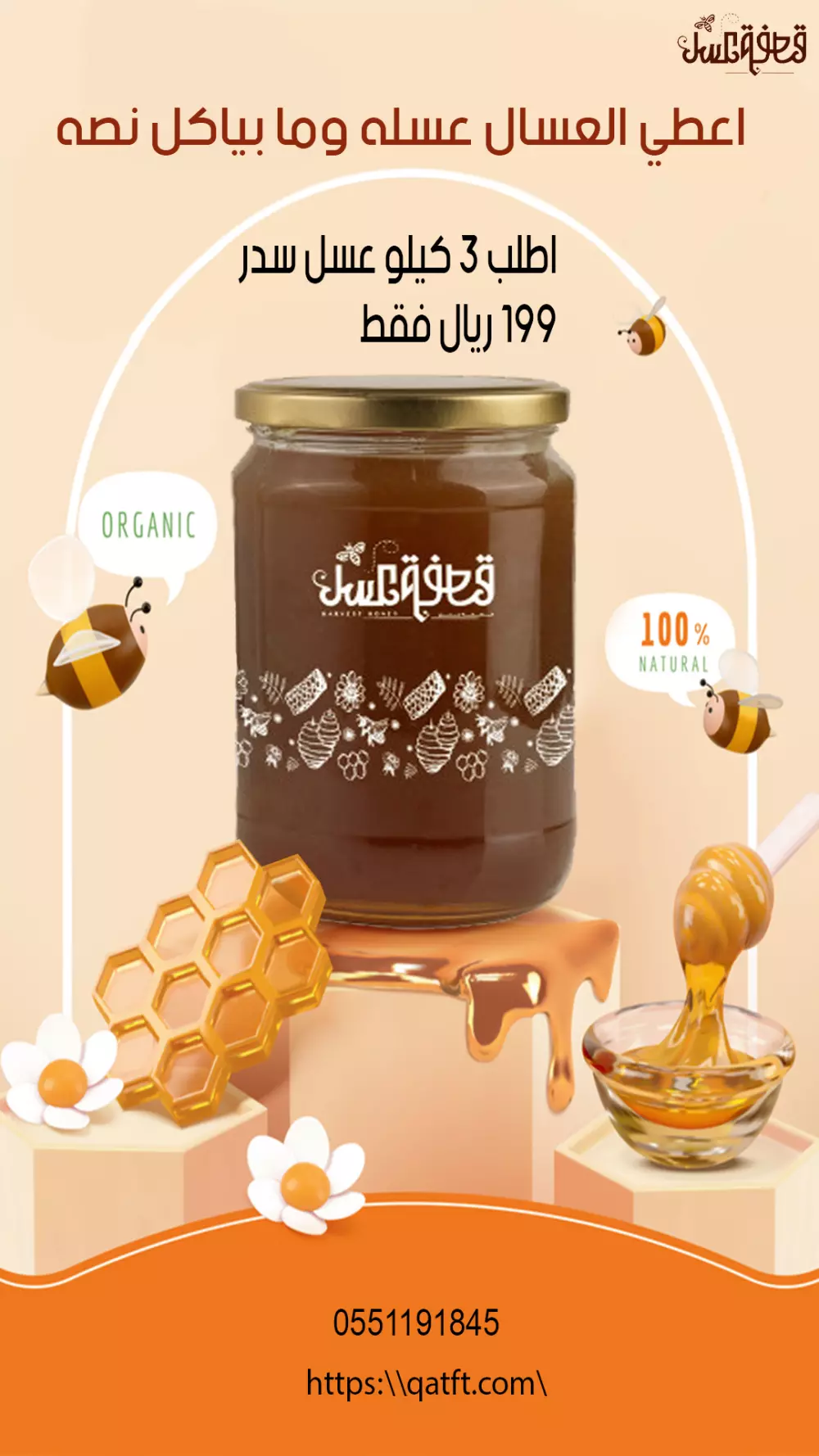 باكدج البراندينج لوجو + تصميم سوشيال ميديا + نص اعلاني