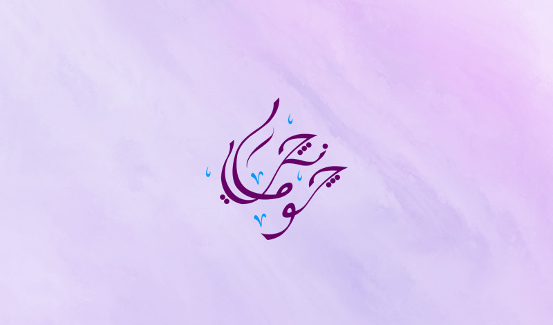 تصميم شعار احترافي (professional logo) مميز وبصيغة vector