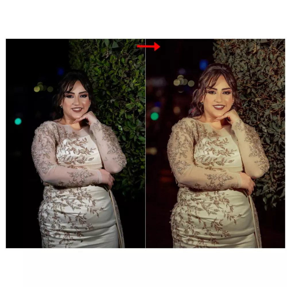 التعديل والتحسين الإحترافي على الصور