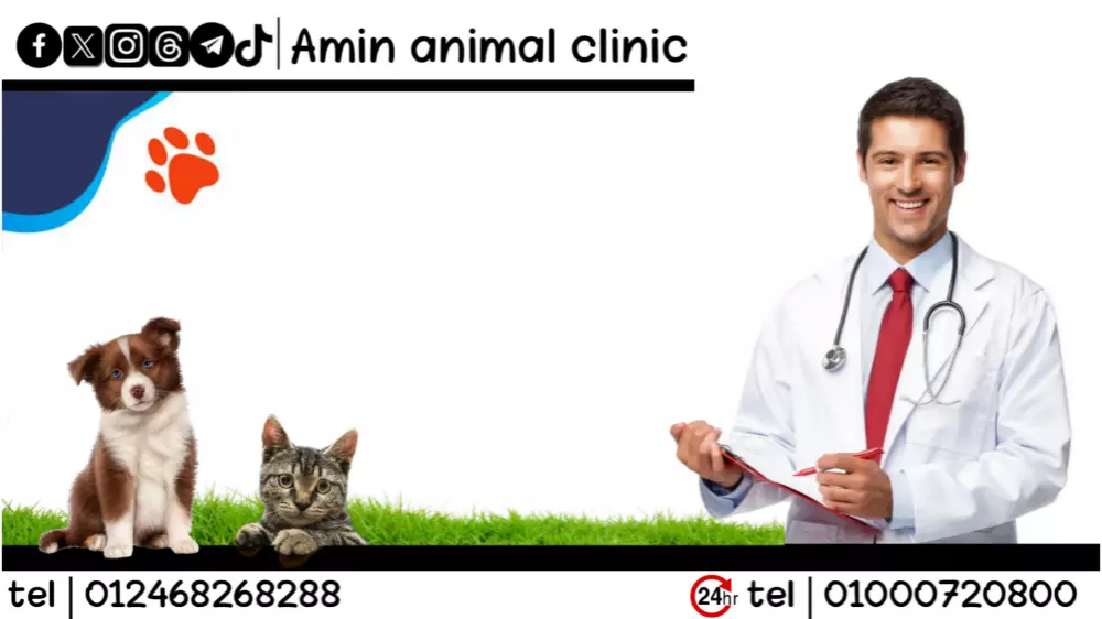 تصميم بيزنس كارد