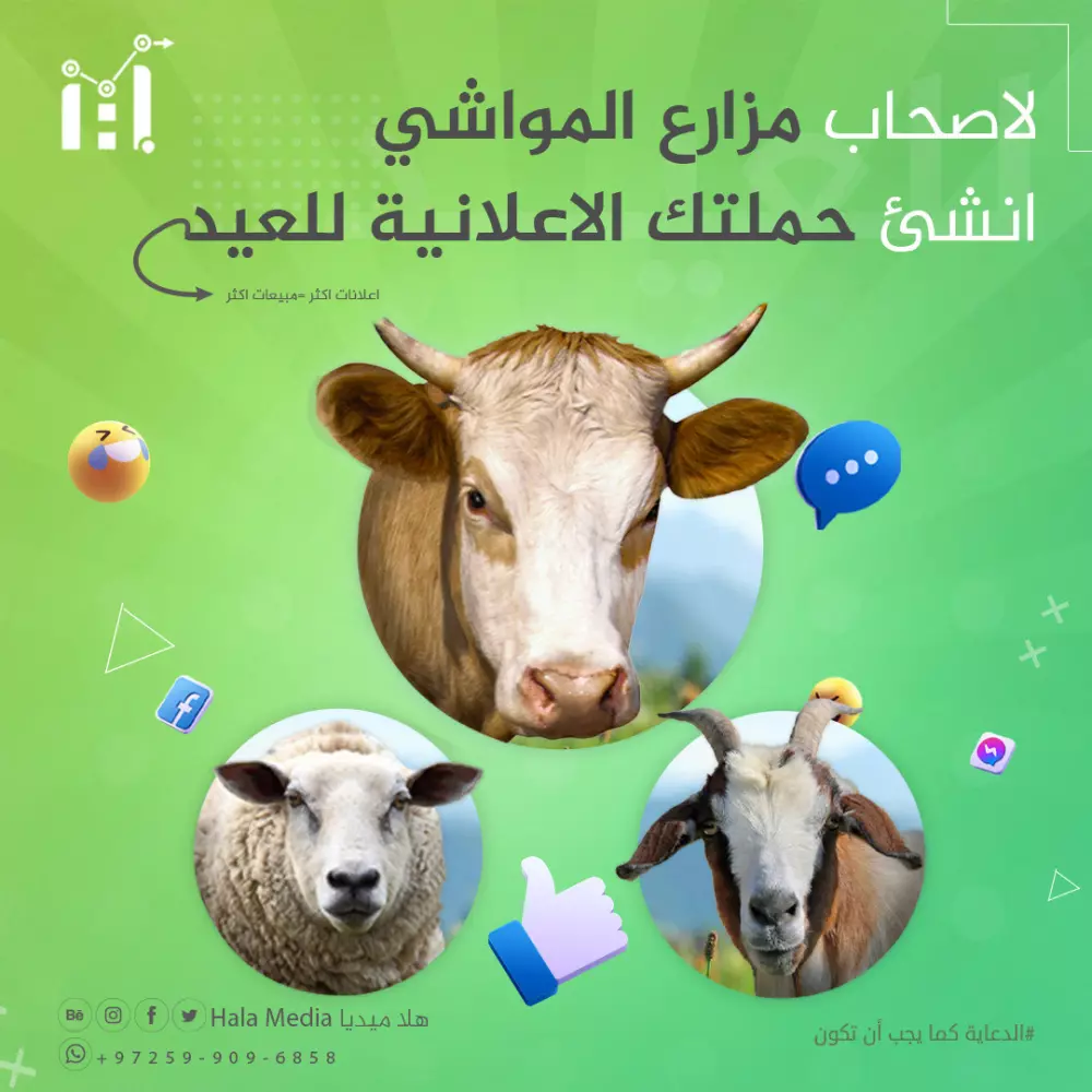 تصميم سوشيال ميديا تسويقية جذابة(خدماتية)