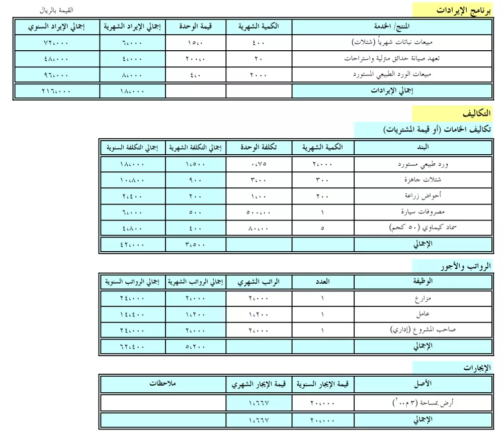 دراسة جدوى شاملة (Feasibility study)